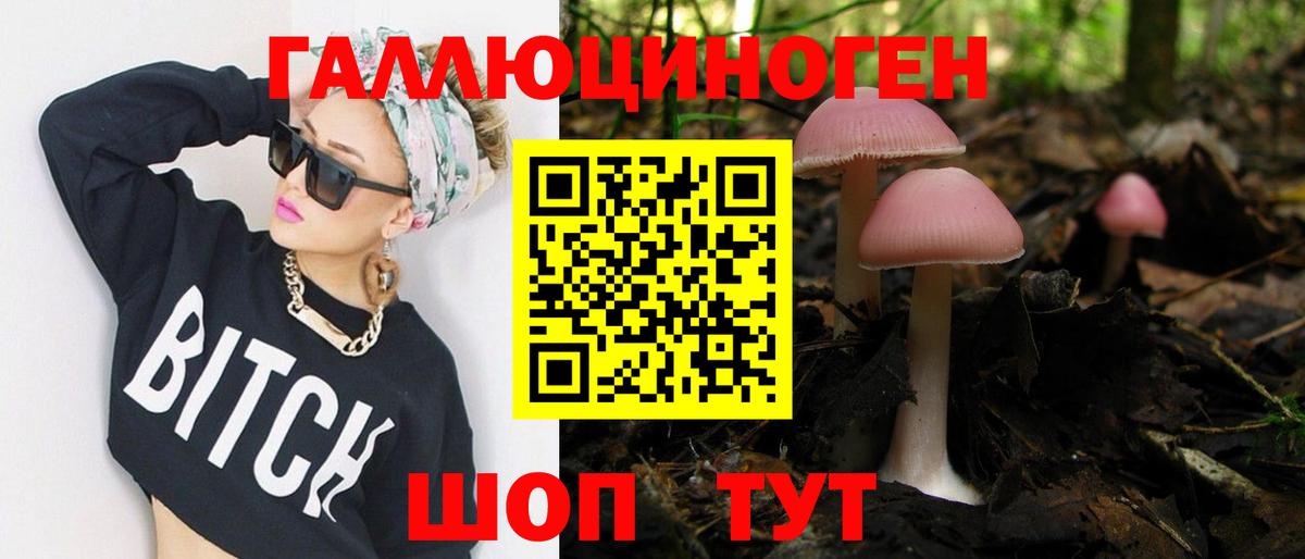Псилоцибиновые грибы мицелий Богородицк